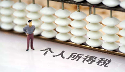 如何在網上打印個人所得稅納稅記錄？