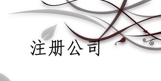 注冊公司為什么推薦找代理注冊公司的機構呢？