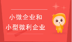 小微企業(yè)和小型微利企業(yè)有什么區(qū)別？