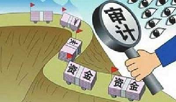 公司審計(jì)是什么,一般有哪幾種？